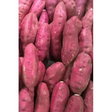 Sweet Potatoes: The Sweet Potato Is a Dicotyledonous Plant That Belongs to the Bindweed or Morning Glory Family, Convolvulaceae. Its L