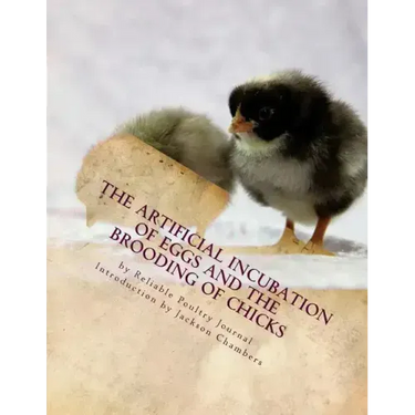 The Artificial Incubation of Eggs and the Brooding of Chicks
