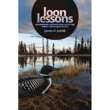 Loon Lessons: Uncommon Encounters with the Great Northern Diver