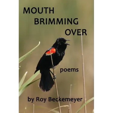 Mouth Brimming Over: Poems