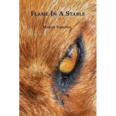 Flame in a Stable