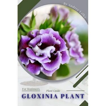 Gloxinia Plant: Plant Guide