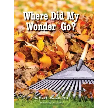 Where Did My Wonder Go?