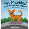 Mr. Marbles' Marvelous Adventure: A Story of a Second Chance