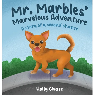 Mr. Marbles' Marvelous Adventure: A Story of a Second Chance