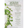 Medicinal Properties of Herbs and Plants