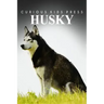Husky - Curious Kids Press: Kids book about animals and wildlife, Children's books 4-6