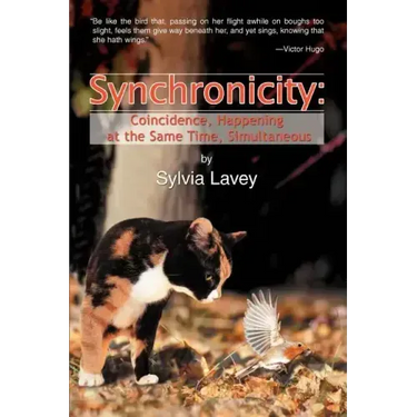 Synchronicity: Coincidence, Happening at the Same Time, Simultaneous