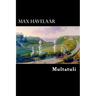 Max Havelaar