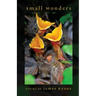 Small Wonders