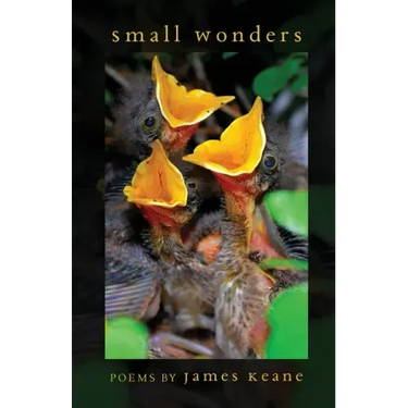 Small Wonders