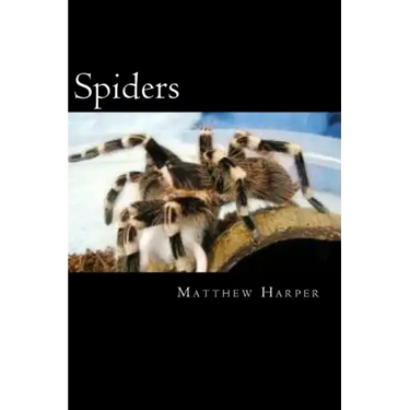 Spiders: A Fascinating Book Containing Spider Facts, Trivia, Images & Memory Recall Quiz: Suitable for Adults & Children