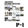 P1: Project 1, ARCH301 Studio Muecke