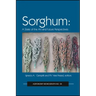 Sorghum: State of the Art and Future Perspectives