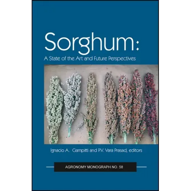 Sorghum: State of the Art and Future Perspectives