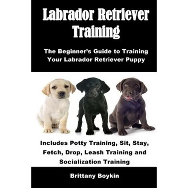 Labrador Retriever Training: The Beginner's Guide to Training Your Labrador Retriever Puppy: Includes Potty Training, Sit, Stay, Fetch, Drop, Leash Tr