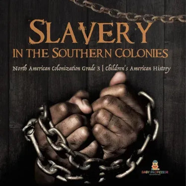 Slavery in the Southern Colonies North American Colonization Grade 3 Children's American History