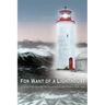For Want of A Lighthouse: Guiding Ships Through the Graveyard of Lake Ontario 1828-1914