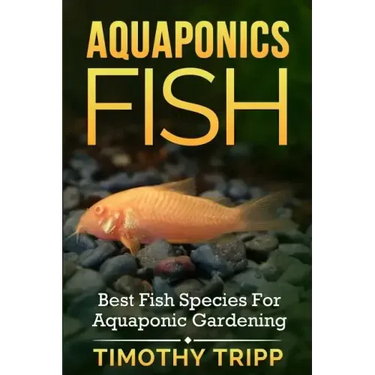 Aquaponics Fish: Best Fish Species For Aquaponic Gardening