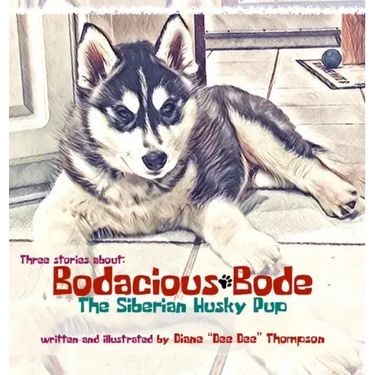 Bodacious Bode - The Siberian Husky Pup