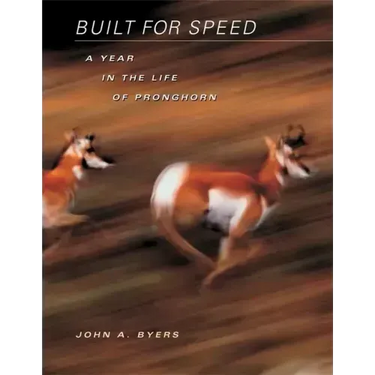 Built for Speed: A Year in the Life of Pronghorn