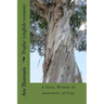 Poplar (english version): A story about communication with Nature