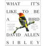 What It's Like to Be a Bird: From Flying to Nesting, Eating to Singing--What Birds Are Doing, and Why