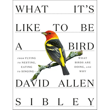 What It's Like to Be a Bird: From Flying to Nesting, Eating to Singing--What Birds Are Doing, and Why