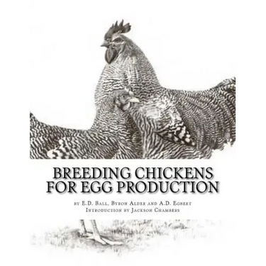 Breeding Chickens For Egg Production