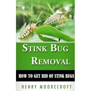 Stink Bug Removal: How to Get Rid of Stink Bugs