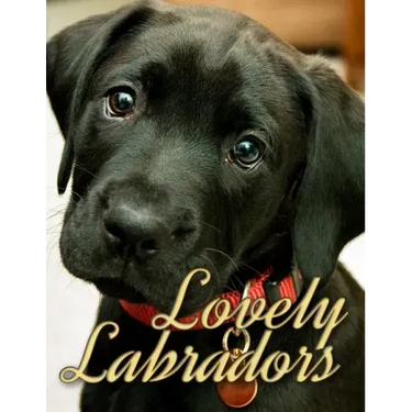 Lovely Labradors