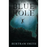 The Blue Hole: A Bahamian Short Story
