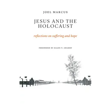 Jesus and the Holocaust: Reflections on Suffering and Hope