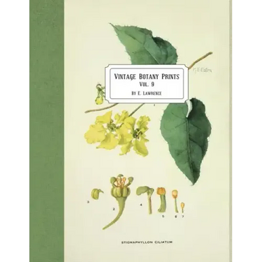Vintage Botany Prints: Vol. 9