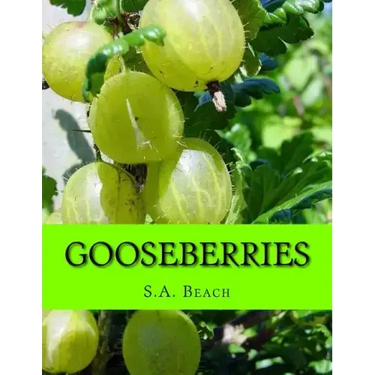 Gooseberries