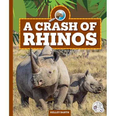 A Crash of Rhinos