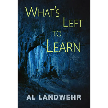 What's Left to Learn