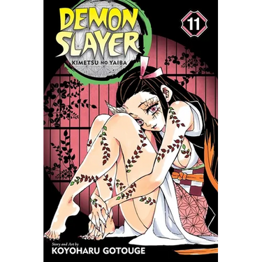 Demon Slayer: Kimetsu No Yaiba, Vol. 11: A Close Fight