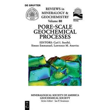 Pore Scale Geochemical Processes