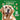 My Sticker Paintings: Dogs: 10 Incredible Canines