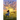 A Sky Full of Song