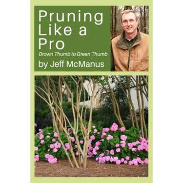 Pruning Like a Pro