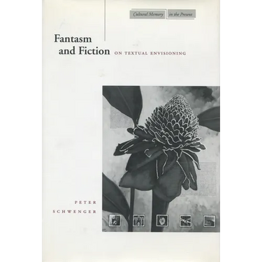 Fantasm and Fiction: On Textual Envisioning