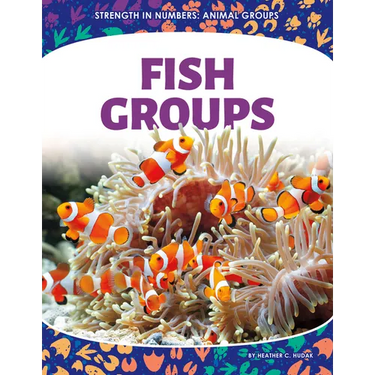 Fish Groups