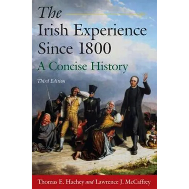 The Irish Experience Since 1800: A Concise History: A Concise History