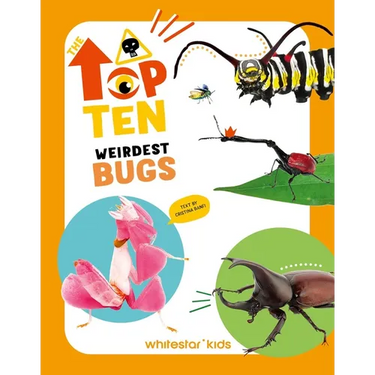Weirdest Bugs