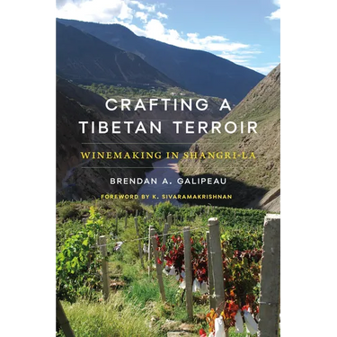 Crafting a Tibetan Terroir: Winemaking in Shangri-La