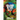Oblivion in Flux