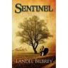Sentinel: City of Destiny