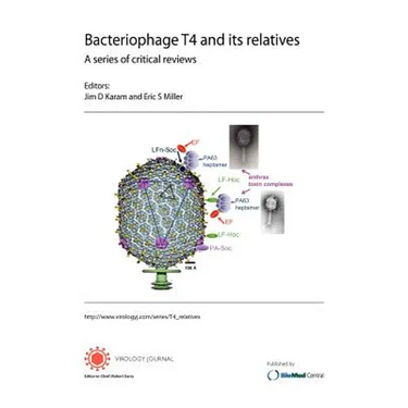 Bacteriophage T4 and its relatives. A series of critical reviews
